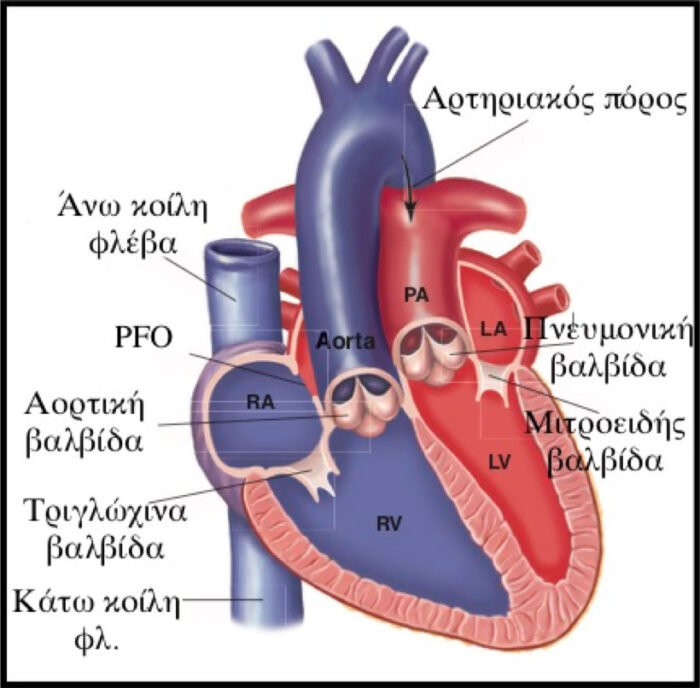 ΚΑΡΔΙΑΚΑ ΦΥΣΗΜΑΤΑ