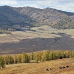 Η Κίνα και η Οικονομία των Σπανίων Γαιών: Από την Εξόρυξη στην Παγκόσμια Εξουσία»