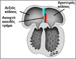 Εικόνα2
