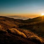 ΓΑΛΗΝΗ 24 ΓΑΛΗΝΗ