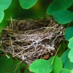 Προσμονή 23 Προσμονή