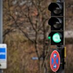 ΦΑΝΑΡΙΑ 29 ΦΑΝΑΡΙΑ