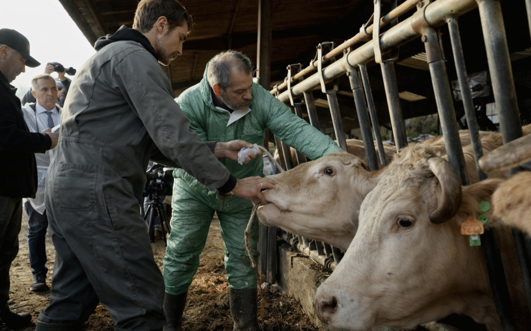 Τι συμβαίνει τελικά με τη «διατροφική κρίση» που συζητιέται και τι είναι γεγονός