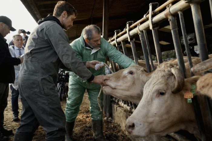 &Tau;&iota; &sigma;&upsilon;&mu;&beta;&alpha;ί&nu;&epsilon;&iota; &tau;&epsilon;&lambda;&iota;&kappa;ά &mu;&epsilon; &tau;&eta; &laquo;&delta;&iota;&alpha;&tau;&rho;&omicron;&phi;&iota;&kappa;ή &kappa;&rho;ί&sigma;&eta;&raquo; &pi;&omicron;&upsilon; &sigma;&upsilon;&zeta;&eta;&tau;&iota;έ&tau;&alpha;&iota; &kappa;&alpha;&iota; &tau;&iota; &epsilon;ί&nu;&alpha;&iota; &gamma;&epsilon;&gamma;&omicron;&nu;ό&sigmaf;