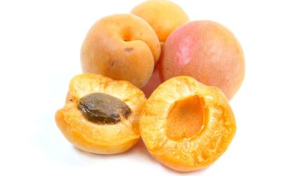 Τα βερίκοκα