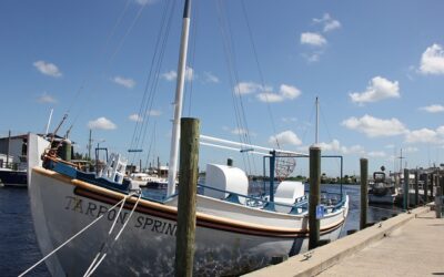 Home 44 «Η ζωή στο χωριό»