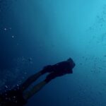 ΣΚΕΨΕΙΣ ΕΝΟΣ ΑΡΧΑΡΙΟΥ ΔΥΤΗ 5 ΣΚΕΨΕΙΣ ΕΝΟΣ ΑΡΧΑΡΙΟΥ ΔΥΤΗ