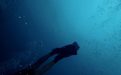 ΣΚΕΨΕΙΣ ΕΝΟΣ ΑΡΧΑΡΙΟΥ ΔΥΤΗ