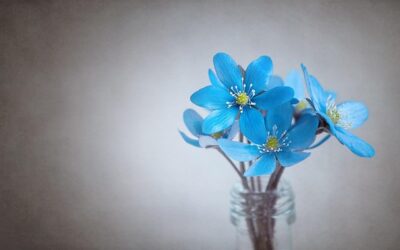 Μας ήρθε στην ΕΛΛΑΔΑ μας, ένα φρέσκο όνομα, ένα λουλούδι