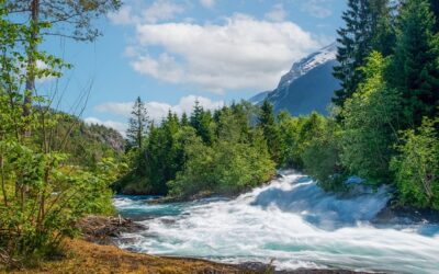 Άκουσα τις μουσικές