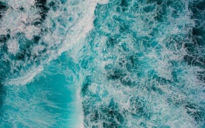 Μαγεία – Μάθηση