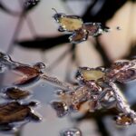 ΕΝΑΝΤΙΑ ΣΤΗΝ ΑΣΧΗΜΙΑ