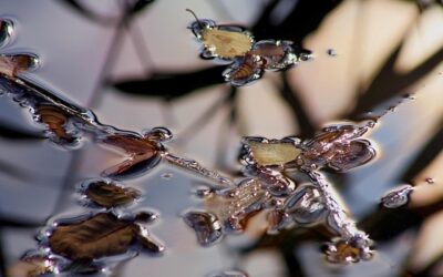 ΕΝΑΝΤΙΑ ΣΤΗΝ ΑΣΧΗΜΙΑ