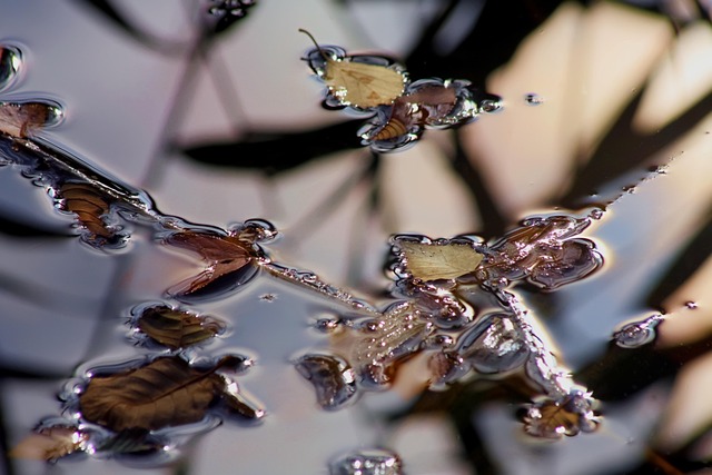 ΕΝΑΝΤΙΑ ΣΤΗΝ ΑΣΧΗΜΙΑ