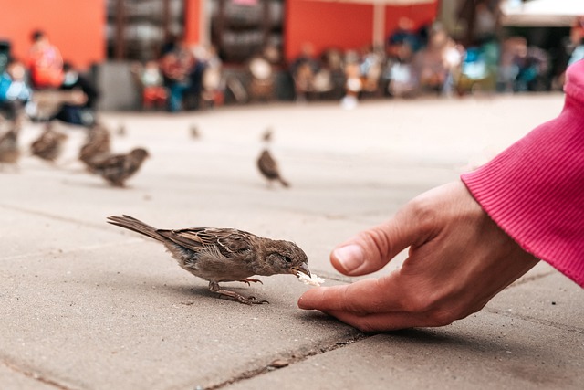 &Alpha;&pi;ό &tau;&eta;&nu; &chi;&omicron;ύ&phi;&tau;&alpha; &mu;&omicron;&upsilon; έ&tau;&rho;&omega;&gamma;&epsilon; &tau;&omicron; &sigma;&pi;&omicron;&upsilon;&rho;&gamma;ί&tau;&iota;