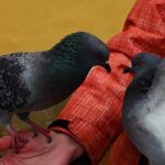 At the height of the circumstances