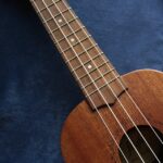 ΟΙ ΚΑΝΤΑΔΟΡΟΙ