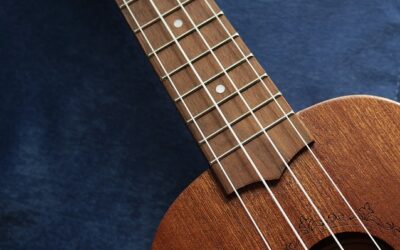 ΟΙ ΚΑΝΤΑΔΟΡΟΙ