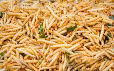 Επίσημα η ΕΕ έχει εγκρίνει την χρήση εντόμων στα τρόφιμα