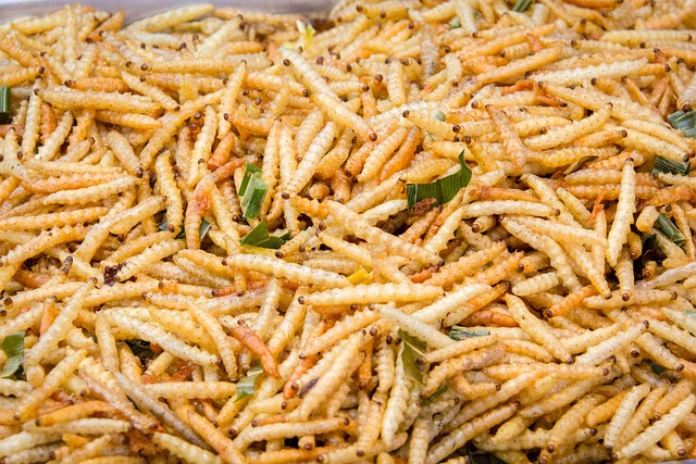 Επίσημα η ΕΕ έχει εγκρίνει την χρήση εντόμων στα τρόφιμα