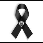 Επτά παλικάρια του ΠΑΟΚ χάθηκαν στη Ρουμανία 1 Επτά παλικάρια του ΠΑΟΚ χάθηκαν στη Ρουμανία