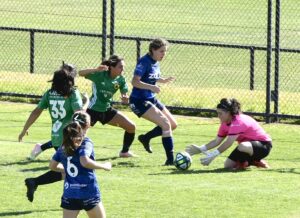 40d5bd24 bcf5 4a29 a2d4 2a4c0c913bad