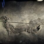 NATURAL HISTORY MUSEUM - Abou Dhabi 14 NATURAL HISTORY MUSEUM - Abou Dhabi