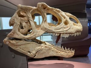 d536d597 199e 42d0 b0bd 795a04164f4f