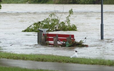 Η πρωτόγνωρη νεροποντή με τα ακαθάριστα ρέματα έπνιξαν την Τριφυλία! 