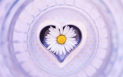 «ΕΓΚΛΗΜΑ Η ΑΓΑΠΗ» ;