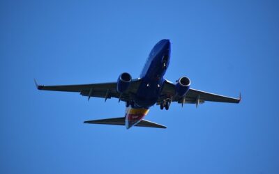 Οι διευθύνοντες σύμβουλοι αεροπορικών εταιρειών ζητούν «άμεση» δράση, καθώς η πίεση των Δημοκρατικών για το κλείσιμο του Υπουργείου Εσωτερικής Ασφάλειας φέρνει τα αεροπορικά ταξίδια στο χείλος της κρίσης