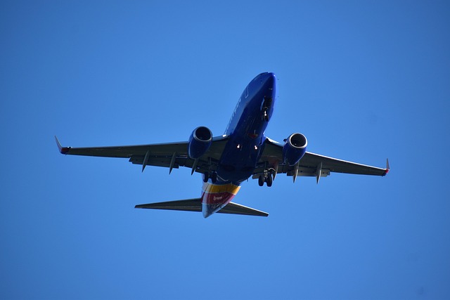 Οι διευθύνοντες σύμβουλοι αεροπορικών εταιρειών ζητούν «άμεση» δράση, καθώς η πίεση των Δημοκρατικών για το κλείσιμο του Υπουργείου Εσωτερικής Ασφάλειας φέρνει τα αεροπορικά ταξίδια στο χείλος της κρίσης