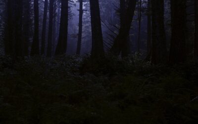 Το σκοτεινό μέλλον της εγχώριας πολιτικής ζωής…