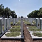 Greek History and Culture Seminars