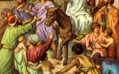 «ΩΣΑΝΝΑ ΕΥΛΟΓΗΜΕΝΟΣ Ο ΕΡΧΟΜΕΝΟΣ»