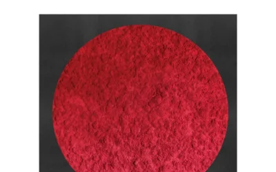 Σταύρη Ντουμάζιου: ΑΠΟΦΑΣΙΖΩ ΕΚΛΕΙΨΗ