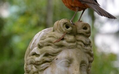 ΑΝΘΡΩΠΟΓΡΑΦΙΑ