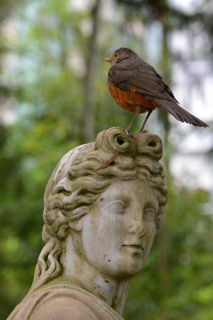 &Alpha;&Nu;&Theta;&Rho;&Omega;&Pi;&Omicron;&Gamma;&Rho;&Alpha;&Phi;&Iota;&Alpha;