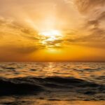 Ζωή ορατή - Πληγή - Το όραμα γέννηση