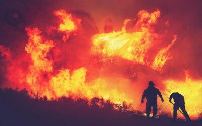  Πυρκαγιές στη Georgia: Χιλιάδες στρέμματα καμένα και φόβοι για νέα μέτωπα