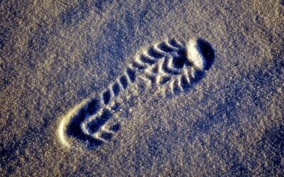 ΟΙ ΣΥΜΒΟΥΛΟΙ ΤΗΣ ΕΠΙΚΟΙΝΩΝΙΑΣ