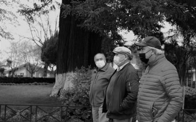 Η Υπογεννητικότητα στην Ελλάδα ως Σιωπηλή Απειλή για το Μέλλον