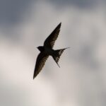 ΕΤΣΙ ΜΑΓΕΥΕΙ Η ΖΩΗ 1 ΕΤΣΙ ΜΑΓΕΥΕΙ Η ΖΩΗ