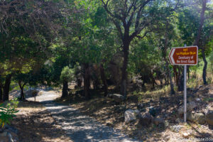 Σαμοθράκη, το μυστηριακό νησί του Θρακικού πελάγους 24 3
