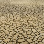 Εμπρός, να καταστρέψουμε το Περιβάλλον 1 Εμπρός, να καταστρέψουμε το Περιβάλλον