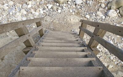 THE SECOND STEP