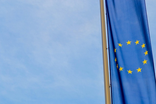 Ευρωπαϊκή Ένωση Ομοτίμων Καθηγητών