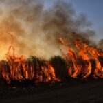 Στο πύρινο μέτωπο και εθελοντές από Δήμο Διστόμου Αράχωβας Αντίκυρας. Με την μάνικα ο Δήμαρχος Σταθάς