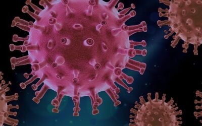 Βελγικό δικαστήριο δικαιώνει Pfizer/BioNTech: Πολωνία και Ρουμανία καλούνται να πληρώσουν για τα εμβόλια της πανδημίας