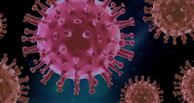 Βελγικό δικαστήριο δικαιώνει Pfizer/BioNTech: Πολωνία και Ρουμανία καλούνται να πληρώσουν για τα εμβόλια της πανδημίας Βελγικό δικαστήριο δικαιώνει Pfizer/BioNTech: Πολωνία και Ρουμανία καλούνται να πληρώσουν για τα εμβόλια της πανδημίας